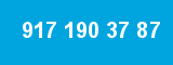 917 190 37 87